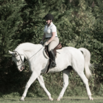 equine contract equine contract